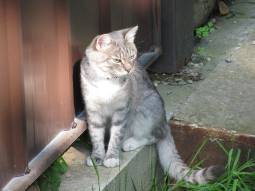 48