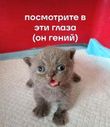 321