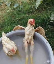 347