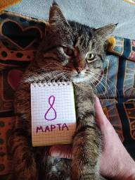 464