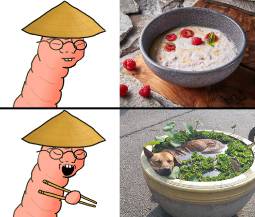 491