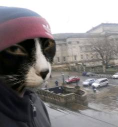 1715