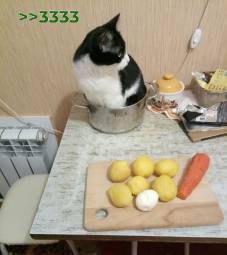 3334