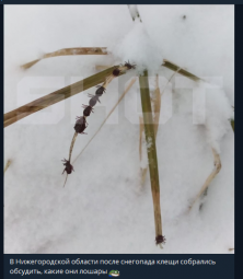 4818