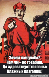 5291