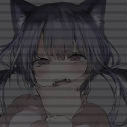 5384