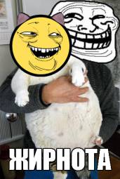 9152