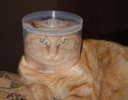 9249