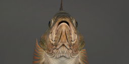 9252