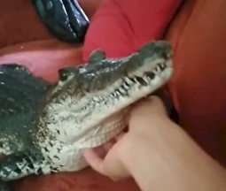 9408