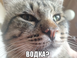 9415