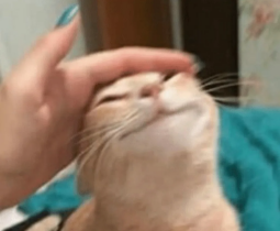 9612