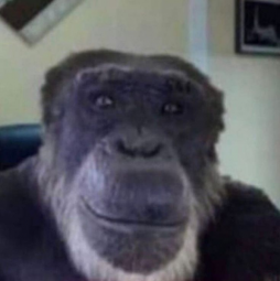 9958
