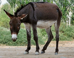 10108