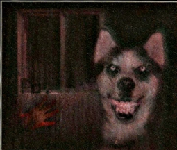 10264