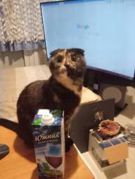 11224